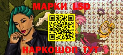 крисы Краснодар