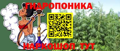 крисы Краснодар