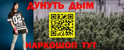 крисы Краснодар