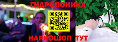 прущие грибы Краснознаменск