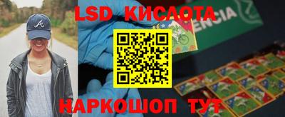прущие грибы Краснознаменск