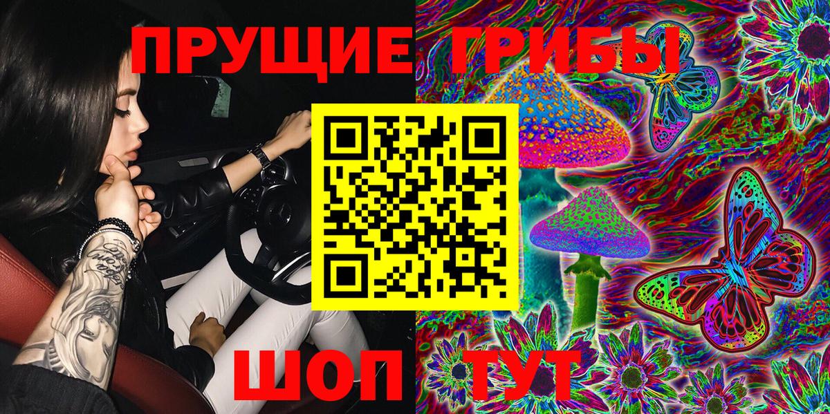 Псилоцибиновые грибы мицелий Сухой Лог